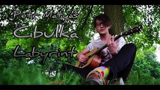 Video Petr Matyáš Cibulka - Labyrint (Official video)