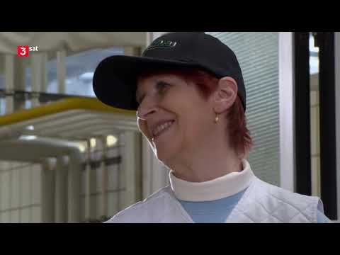 Aufgetischt - Linz Doku (2019)