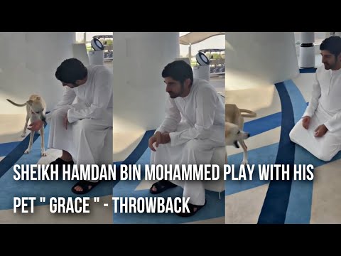 Sheikh Hamdan Fazza Playing With His Pet " Grace " Throwback