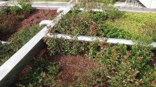 Geoplast DRAINROOF