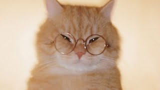 Cover art for fpwjsemshfo