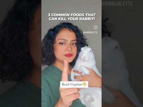 3 common food that can kill your rabbit! #rabbit #rabbitcare #rabbithealth #pet #rabbitdiet #petcare