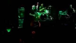 Tiger Army - Jungle Cat