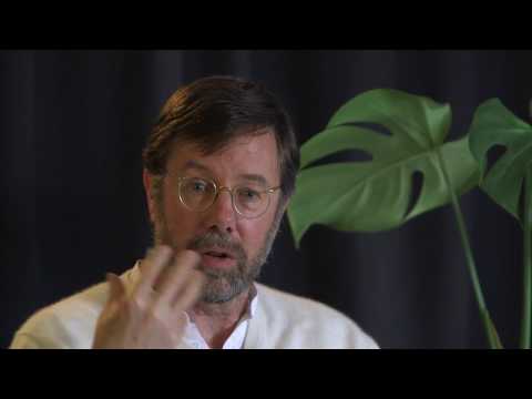 Reclaiming the Inner Worlds with Llewellyn Vaughan-Lee