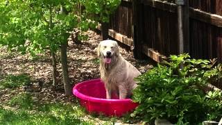 My Friend Has A Swimming Pool- The Magician Remix- Mausi