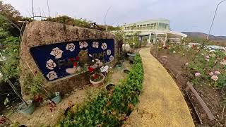 VID 20221122 福山SA バラ園