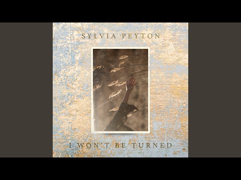 I Won't Be Turned (Crystal Shards Remix)