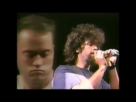 Miracle Legion - The Backyard