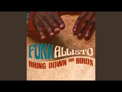 Bring Down the Birds (Funk Cover)