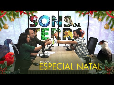 Gifts from nature: team reacts to videos sent by internet users.