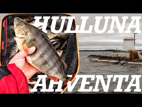 20+ KILOA AHVENPÖLLIÄ JIGILLÄ - KUORETTA AHTAVAA AHVENTA TASANKOALUEILTA