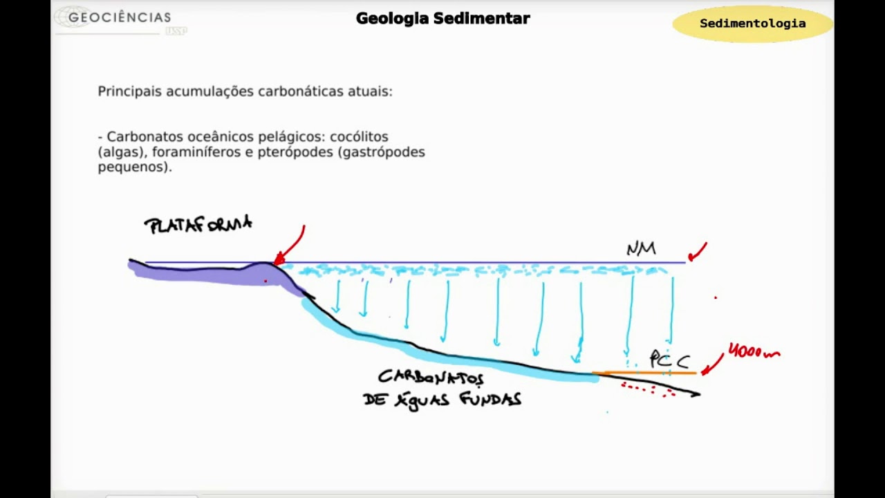 Sedimentologia - Sedimentação Carbonática