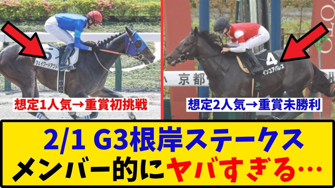 【根岸S】「出走予定馬 G3なのにメンバー的にヤバすぎる…」に対するみんなの反応【反応集】