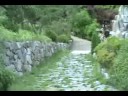 2008 7 10韓國之旅