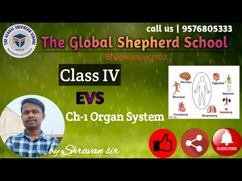 Class-04 | EVS