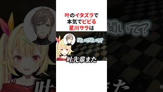 叶のイタズラで本気でビビる星川サラ