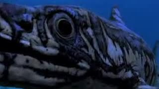 Sea Reptile Birth - Walking with Dinosaurs - BBC