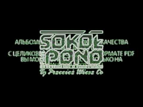 Oxy Gen  Angela Sokol