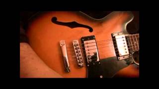 Video thumbnail for Gibson Fake ES 339 v. Epi Real ES 339 by Davesintexas