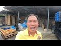 ซ่อม