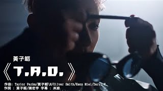 黃子韜-《T.A.O.》MV 字幕