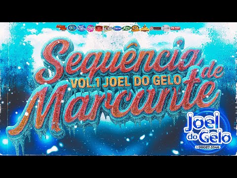 SEQUÊNCIA DE MARCANTE VOL.01 ( JOEL DO GELO ) 2K25 - @RyanMixCDS