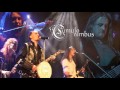 Cumulo Nimbus - Flüssig Gold 
