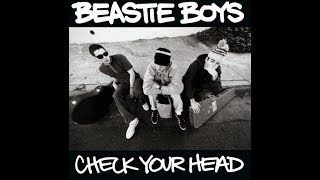 Beastie Boys - Stand Together [1992] HQ SD