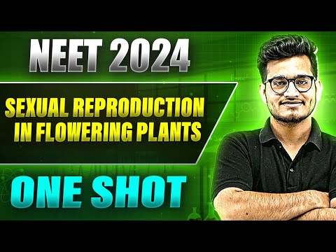 SEXUAL REPRODUCTION IN FLOWERING PLANTS in 1Shot: FULL CHAPTER COVERAGE (Theory+PYQs) |Prachand NEET