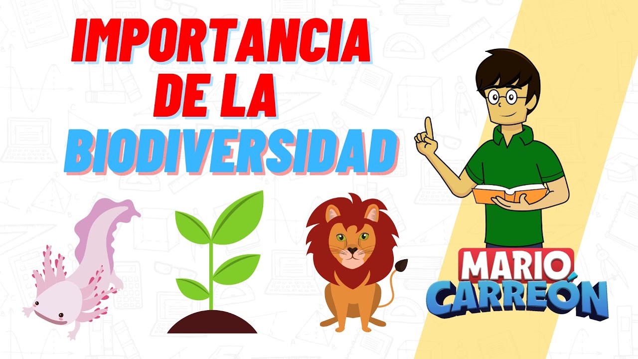 Qu Es La Biodiversidad Y Por Qu Es Importante Cuidarla LIB ASK qu-es-la-biodiversidad-y-por-qu-es-importante-cuidarla-lib-ask