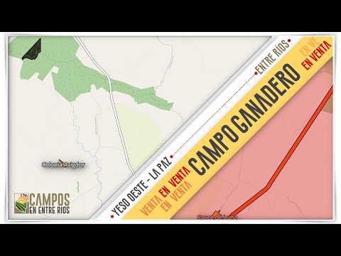 👉 Campo Ganadero en Venta en Yeso Oeste, La Paz (Entre Ríos) 🐄 | 229 Hectáreas de Monte Nativo