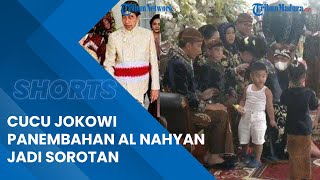 Tingkah Lucu Cucu Jokowi Panembahan Al Nahyan Disorot Saat Prosesi Pernikahan Kaesang dan Erina