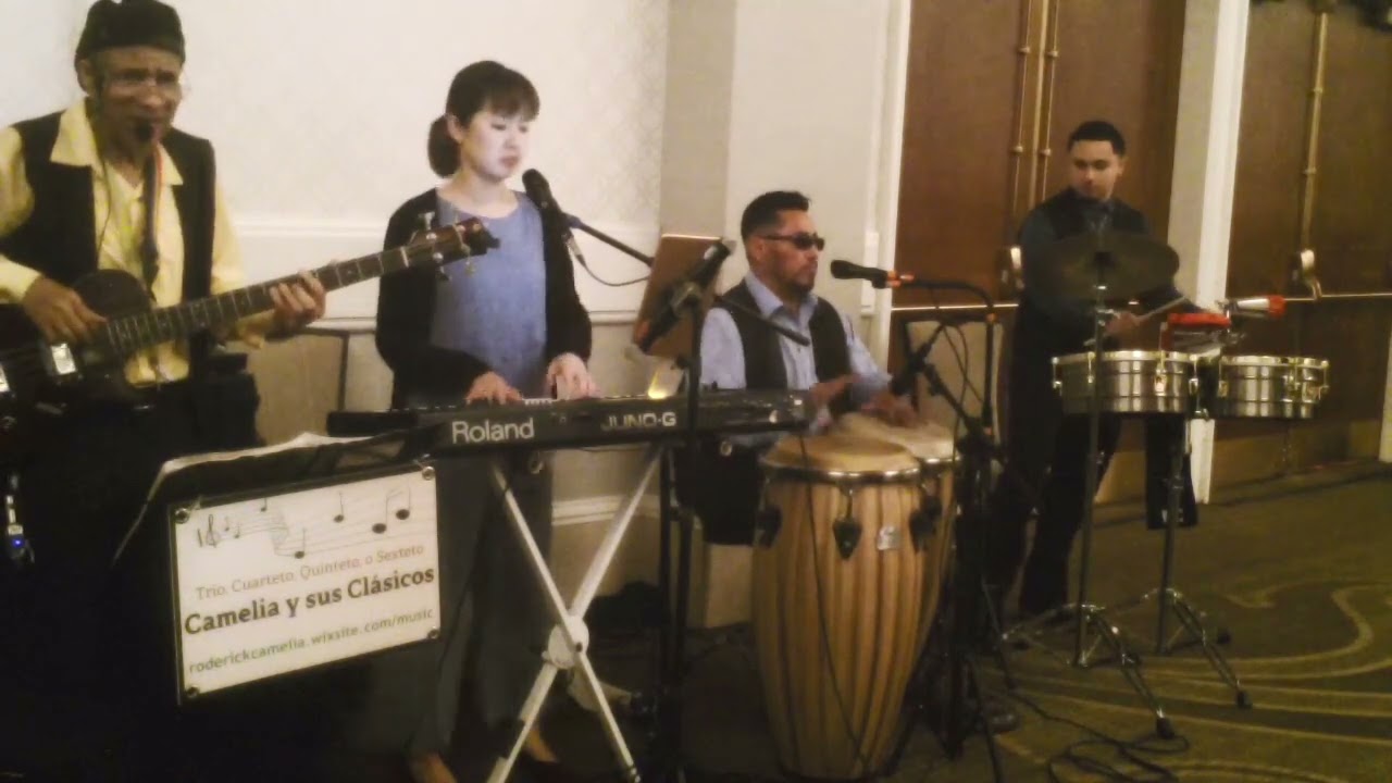 Promotional video thumbnail 7 for Camelia Bands