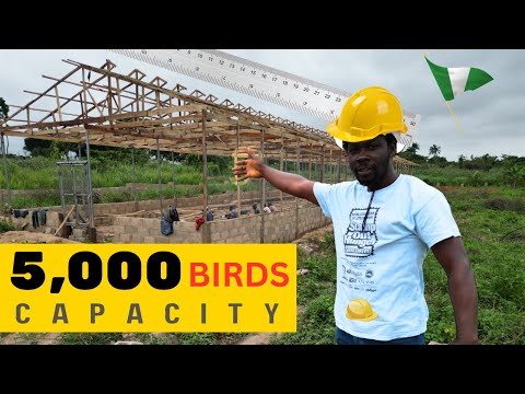 Starting a 5000 Layer Poultry Farm RIGHT!