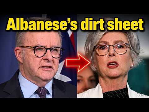 Helen Haines dirt sheet sent from PM Anthony Albanese’s office
