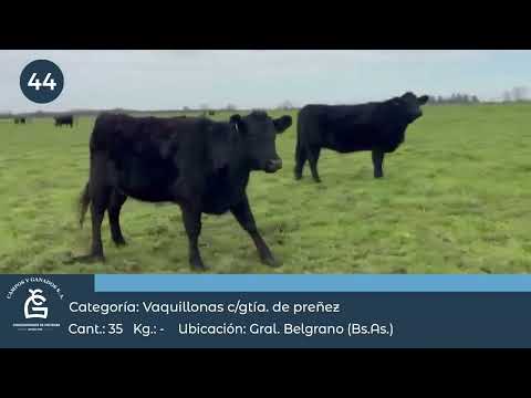 Lote VQ CGP - Gral Belgrano Bs As
