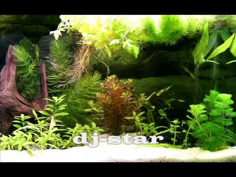 Eric Del Mar, Frank Doberitz - Mykonos Sundown Feelings