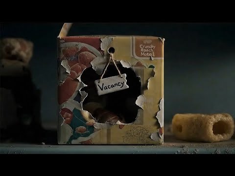 A Look Inside the Crunchy Roach Motel - EcoGuard Pest Management