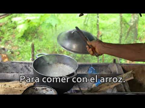 La Cocina en Rama con Miss Cristina