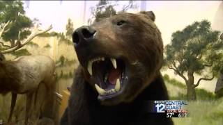 Santa Maria Natural History Museum