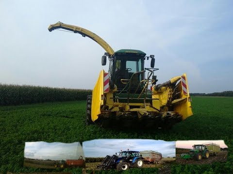 Koszenie kukurydzy na Kiszonke w WIELKOPOLSCE 2017  3x JD / 1x NH / 1x Zetor /  NOWY NABYTEK