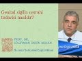 Prof. Dr. Süleyman Engin Akhan Prof. Dr. Süleyman Engin Akhan