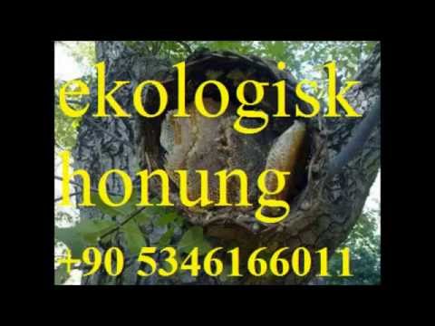 ekologisk honung