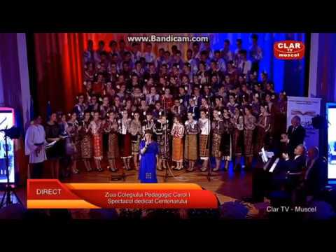 Mariuca Enache - E liniste in codrul verde (Taticul meu e la razboi) - LIVE ( Cover -Paula Seling)