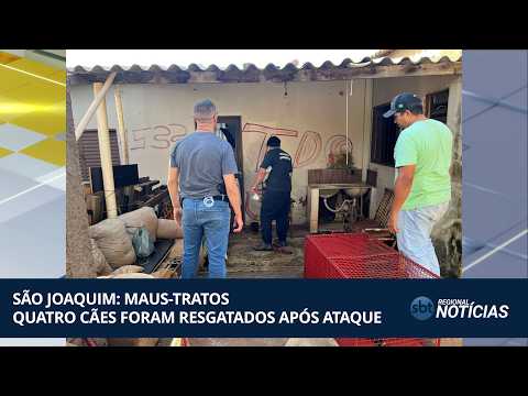 Polícia resgata quatro cães de maus-tratos em São Joaquim da Barra (28/04/26)