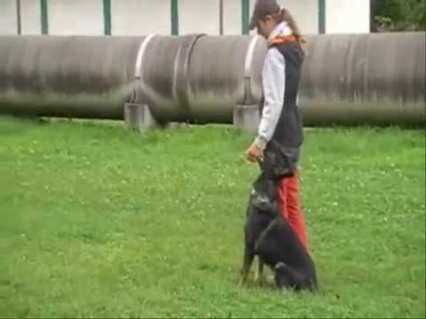 Mia od Natálky - Obedience