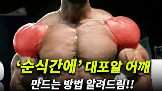 해부학 기반으로 알아본 가장 효율적인 어깨운동 1위 루틴? 어깨운동 방법 꿀팁 대방출!