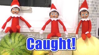 The Elf on the Shelf CAUGHT TALKING on Camera!