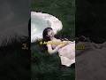 Top 10 Most Popular Sad Songs In The World 2025