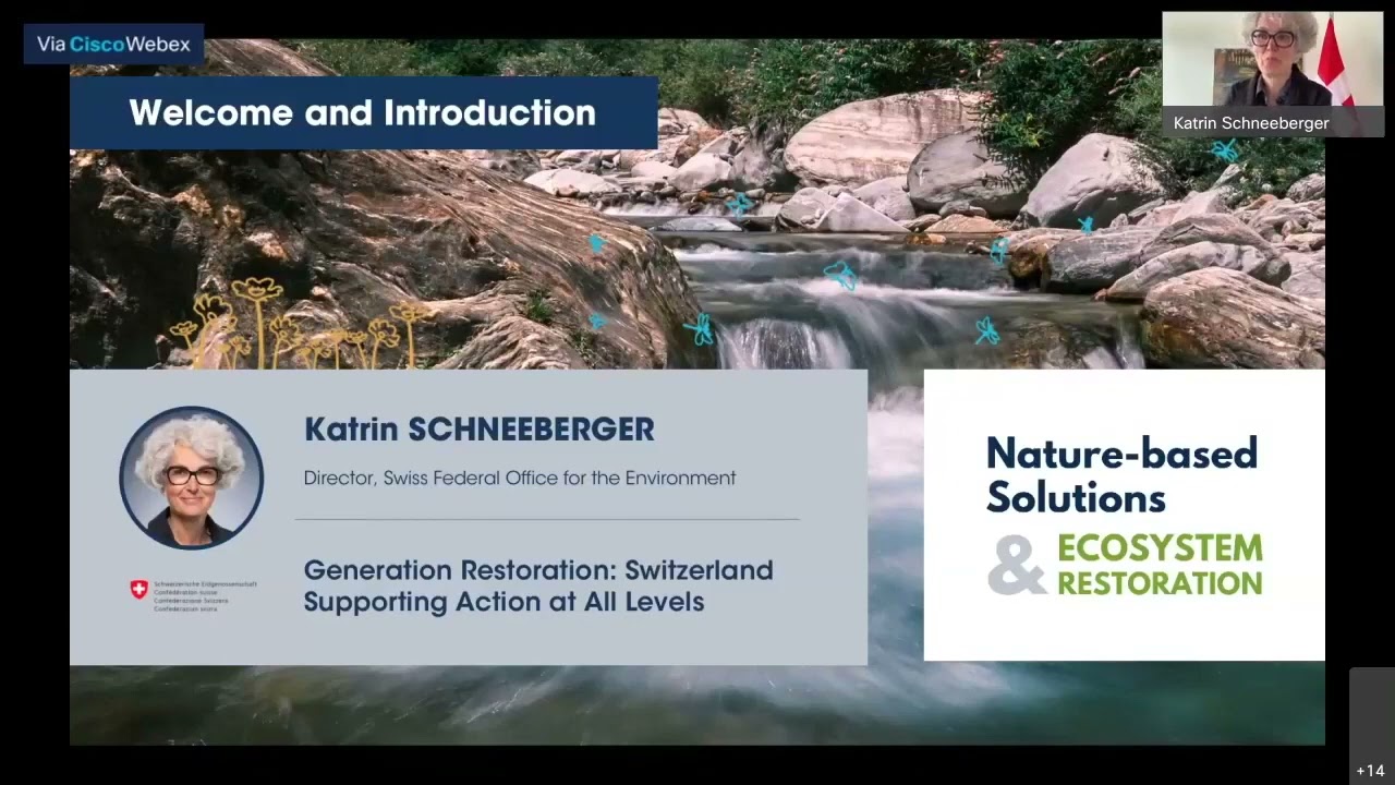 GVA Nature-based Solutions Dialogues | Nature-based Solutions and Ecosystems Restoration